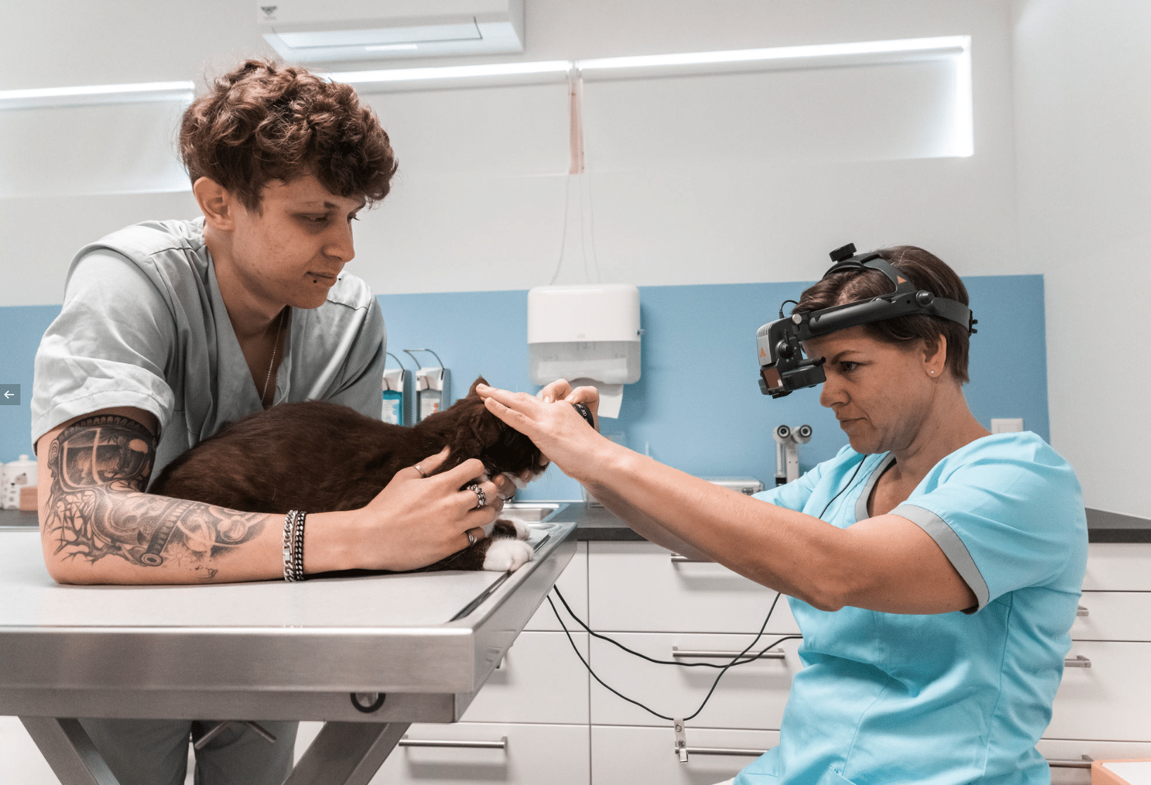 Dr. Sabine Wacek