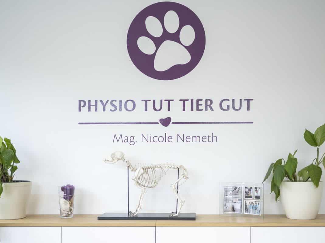 Mag.med.vet. Nicole Nemeth