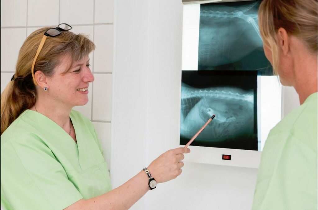 Mag.med.vet. Irene Zisch
