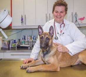 Mag.med.vet. Regina Bregenzer