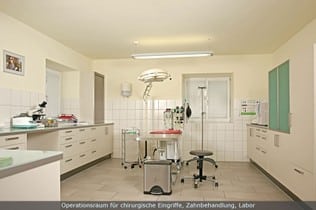 Mag.med.vet. Petra Weiß