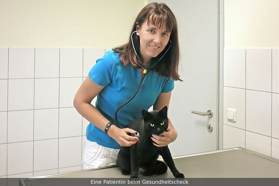Mag.med.vet. Petra Weiß