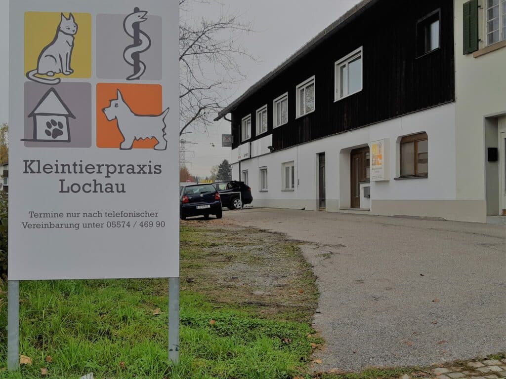Mag.vet.med. Julia Galehr