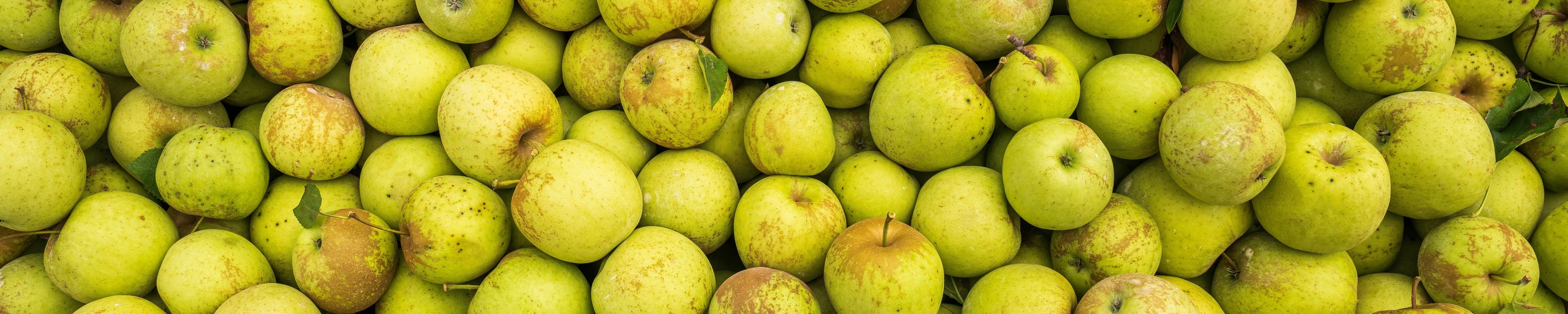 Dürfen Katzen Äpfel essen? Ja – aber ohne Kerne und Stiel!