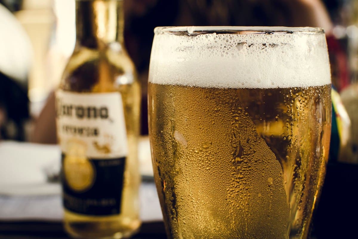 Alkohol Hund: Ist Alkohol für Hunde gefährlich? – go4vet