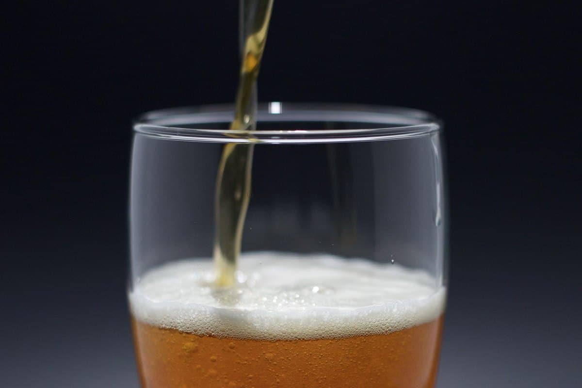 Alkohol Hund: Ist Alkohol für Hunde gefährlich? – go4vet
