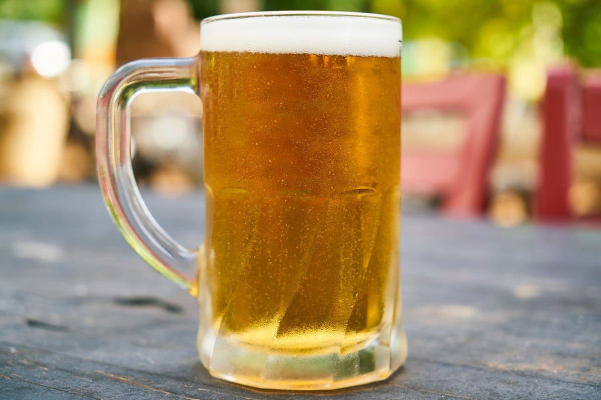 Alkohol Katze: Ist Alkohol für Katzen gefährlich? – go4vet