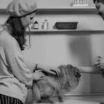 Allergie-Test beim Hund: Ablauf, Kosten und Aussagekraft