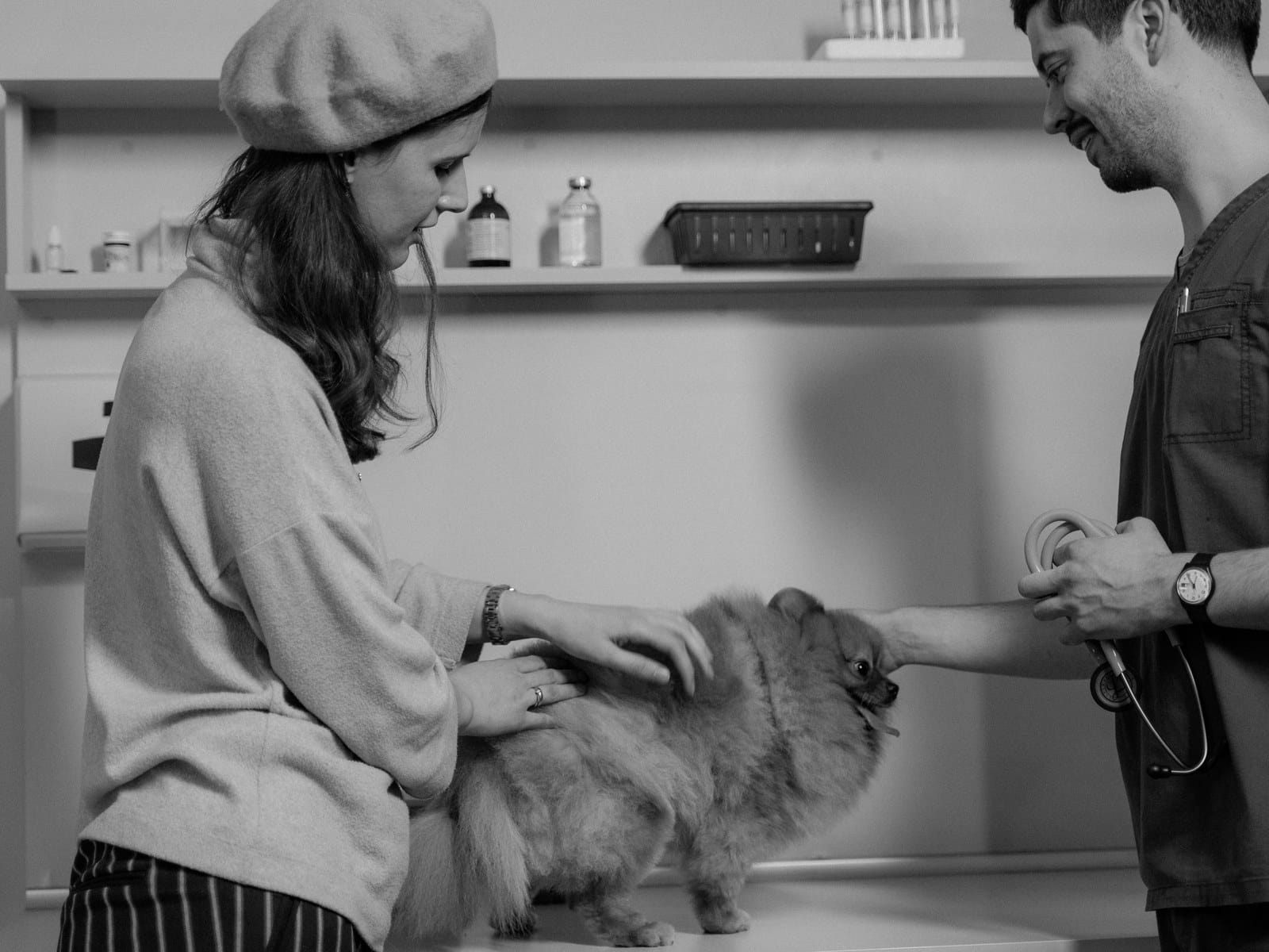 Allergie-Test beim Hund: Ablauf, Kosten und Aussagekraft