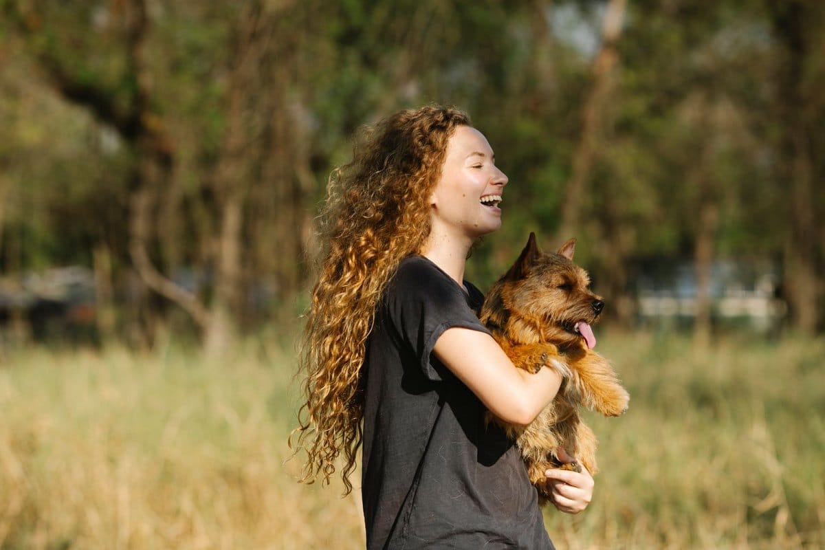 Analdrüsenentzündung beim Hund – go4vet