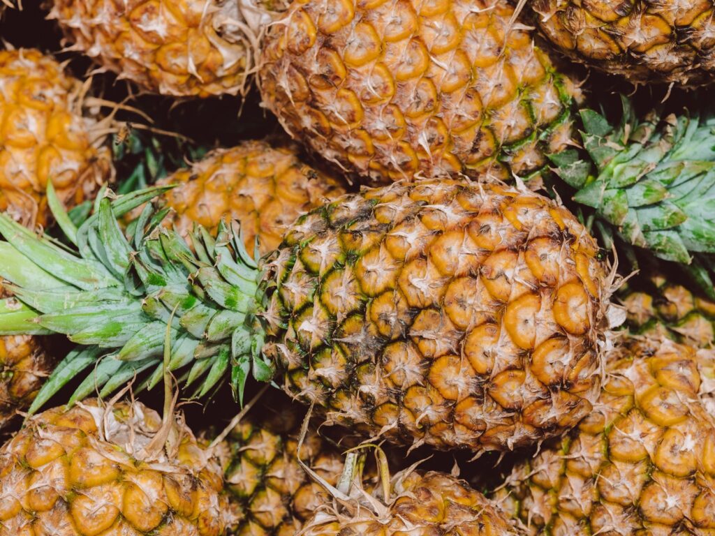 Dürfen Hunde Ananas essen? Tropischer Snack für Vierbeiner