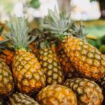 Dürfen Katzen Ananas essen? Tropischer Snack für Vierbeiner