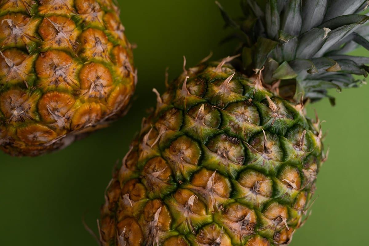 Dürfen Katzen Ananas essen? Tropischer Snack für Vierbeiner – go4vet