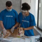 Apoquel beim Hund: Wirkung, Nebenwirkungen, Langzeit-Erfahrungen