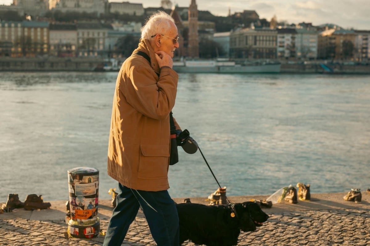 Arthrose beim Hund: Symptome, Behandlung & Schmerzlinderung – go4vet