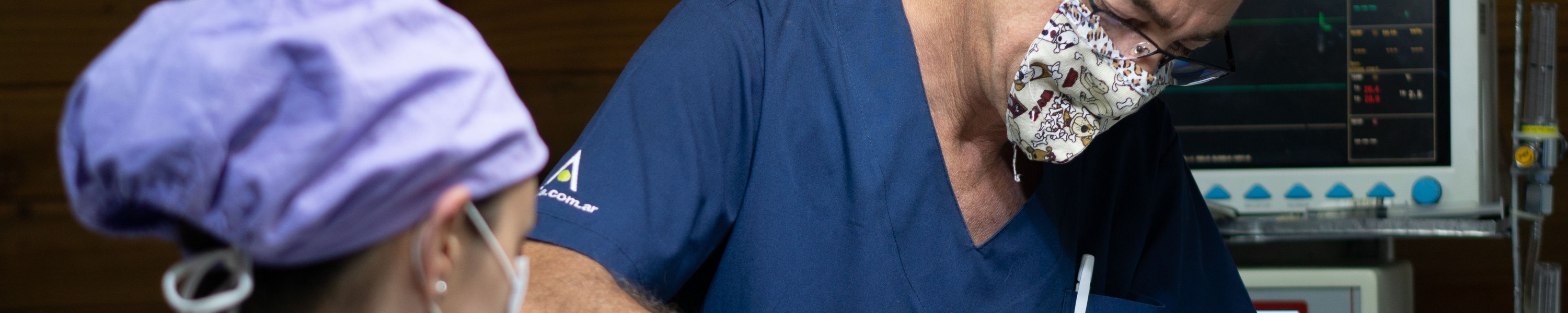 Atemwegserkrankungen beim Pferd: Diagnose, Behandlung & Vorbeugung