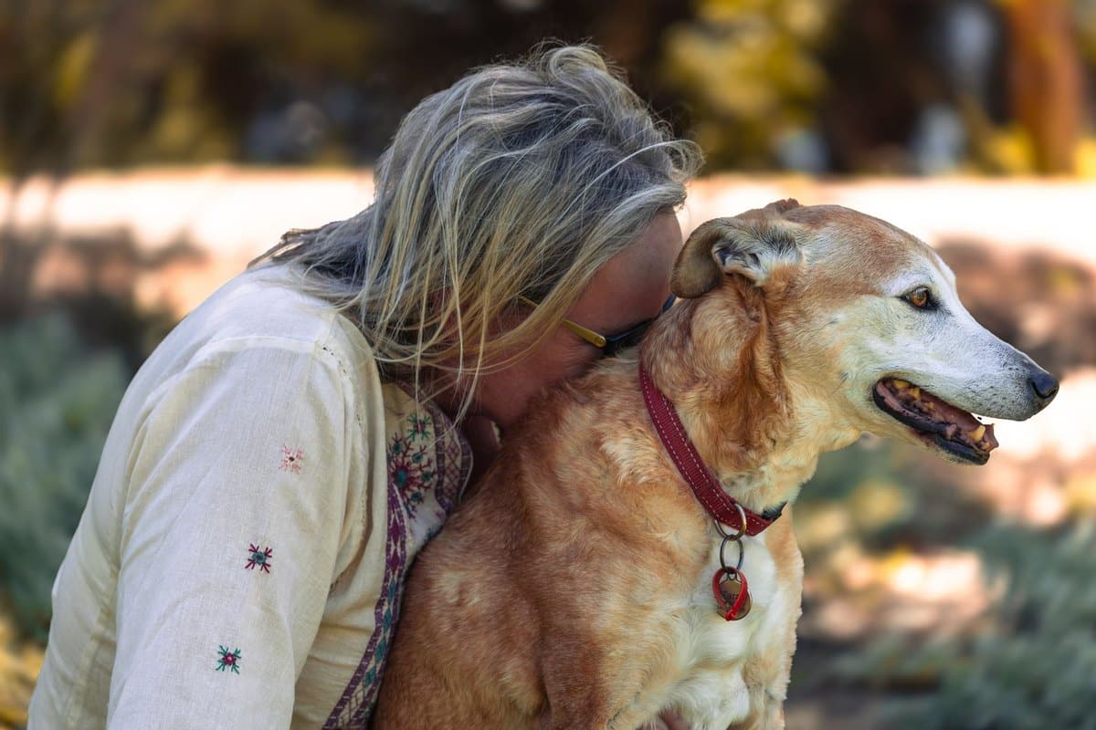Tierkrankenversicherung im Ausland: ist dein Hund auf Reisen – go4vet