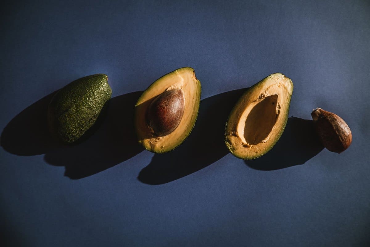 Ist Avocado giftig für Hunde & Katzen? Was ist wirklich gefä – go4vet