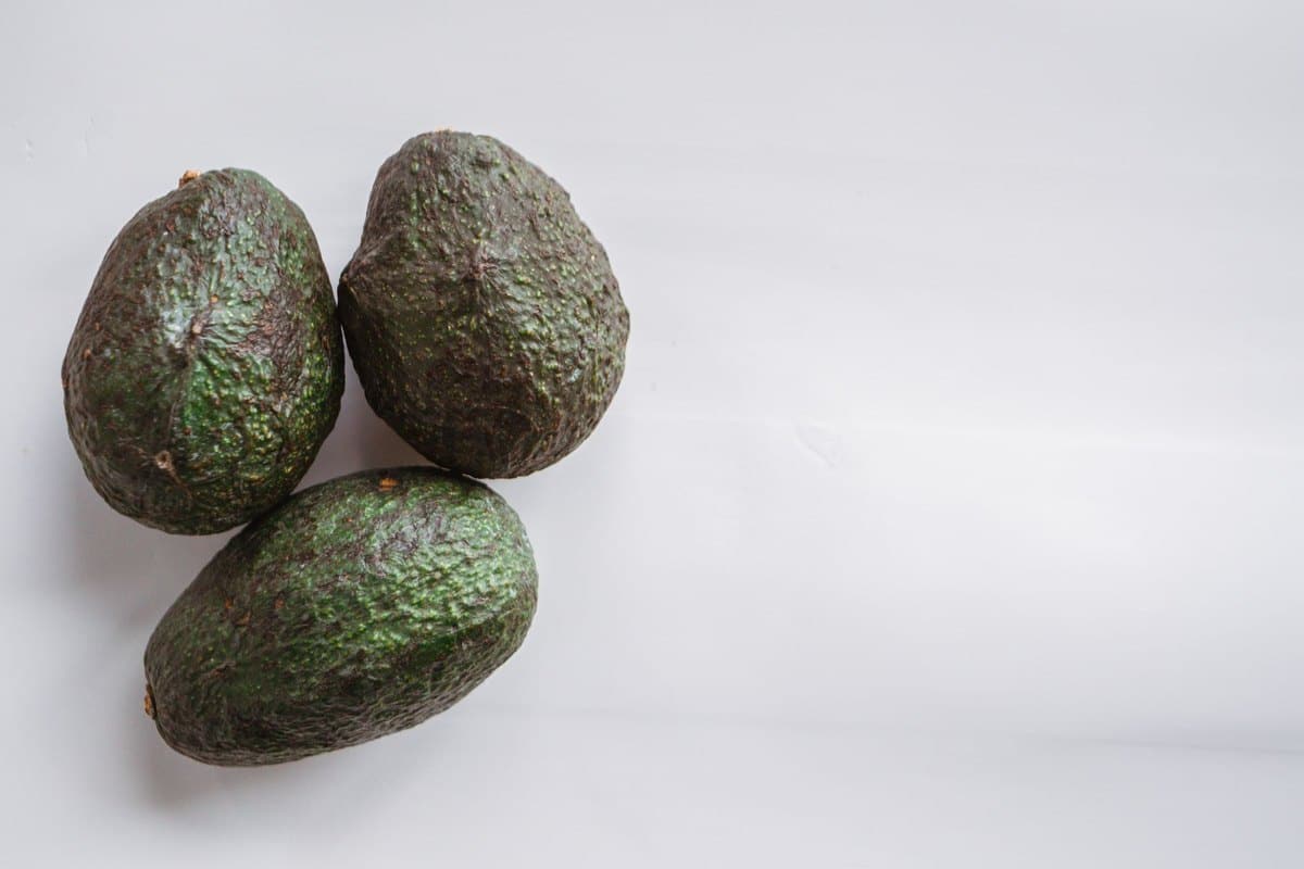 Ist Avocado giftig für Hunde & Katzen? Was ist wirklich – go4vet