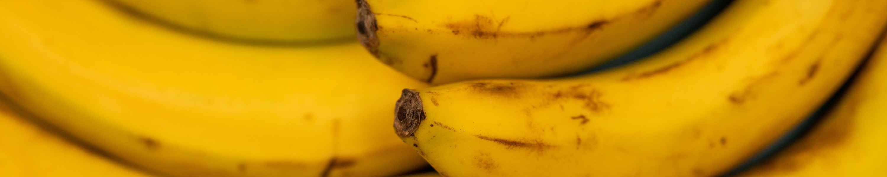 Dürfen Hunde Bananen essen? In Maßen ein gesunder Snack