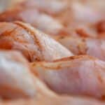 BARF-Risiken: Salmonellen, Knochensplitter und Mangel sicher vermeiden