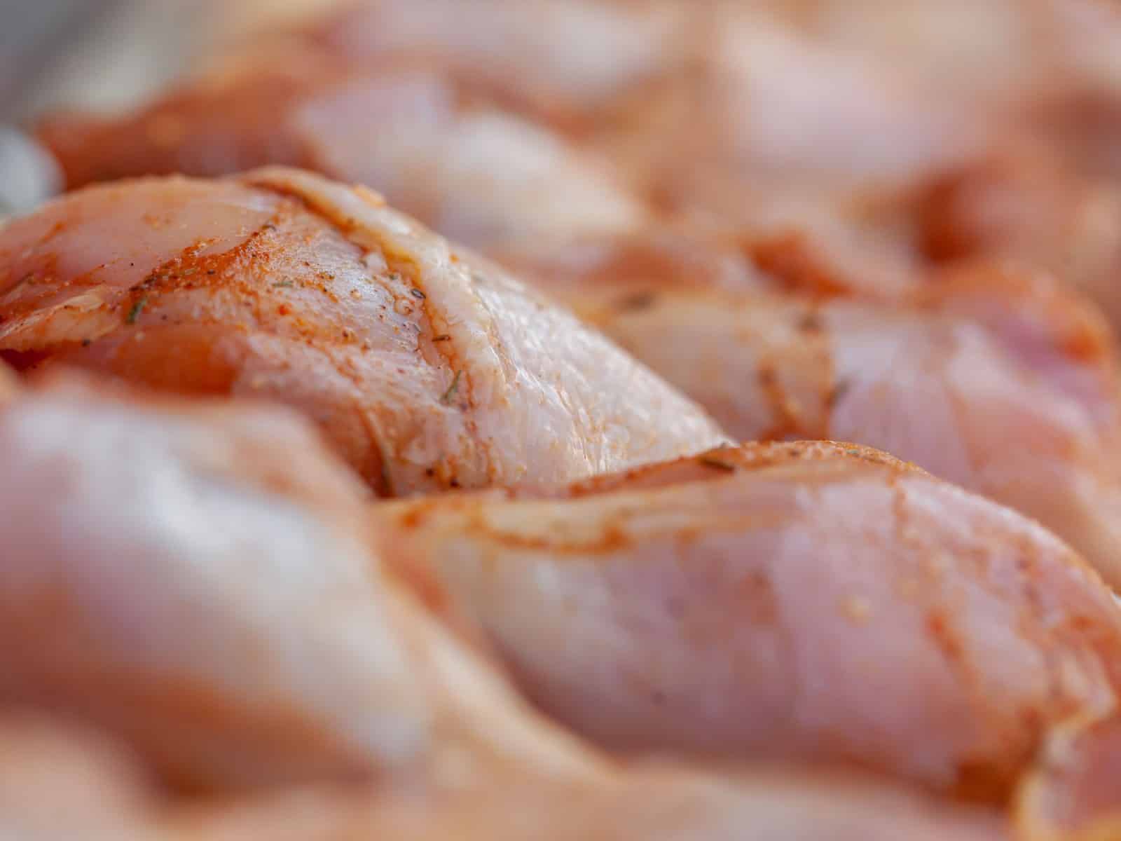 BARF-Risiken: Salmonellen, Knochensplitter und Mangel sicher vermeiden