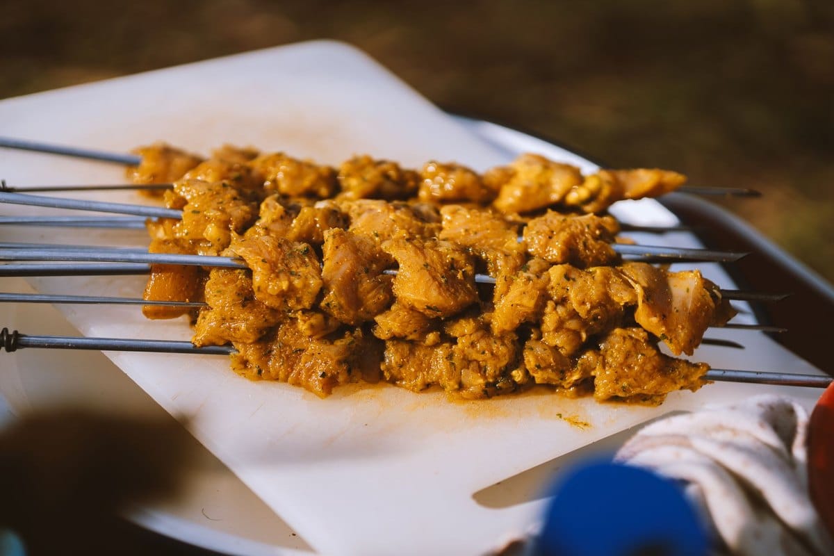BARF-Risiken: Salmonellen, Knochensplitter und Mangel sicher – go4vet