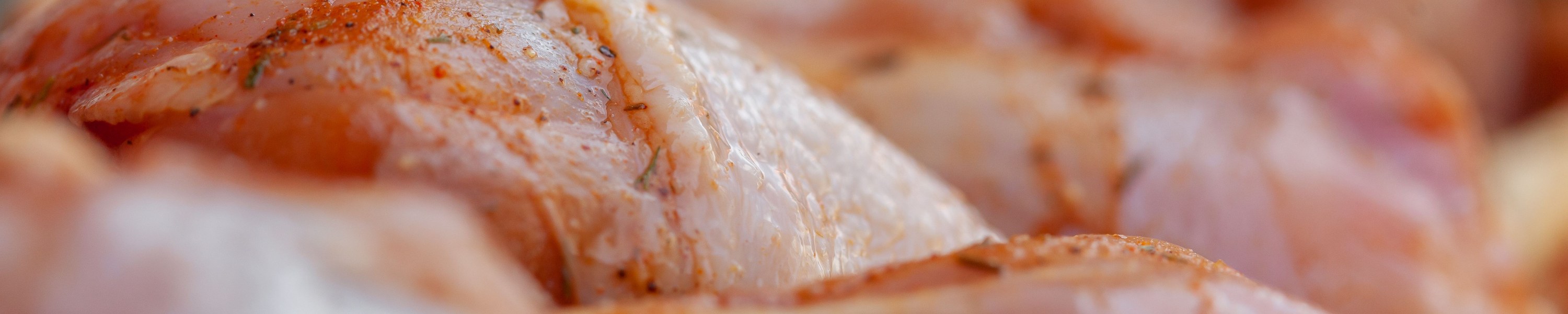 BARF-Risiken: Salmonellen, Knochensplitter und Mangel sicher vermeiden