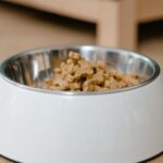 BARF-Umstellung Katze, der vierzehn-Tage-Plan vom Trockenfutter