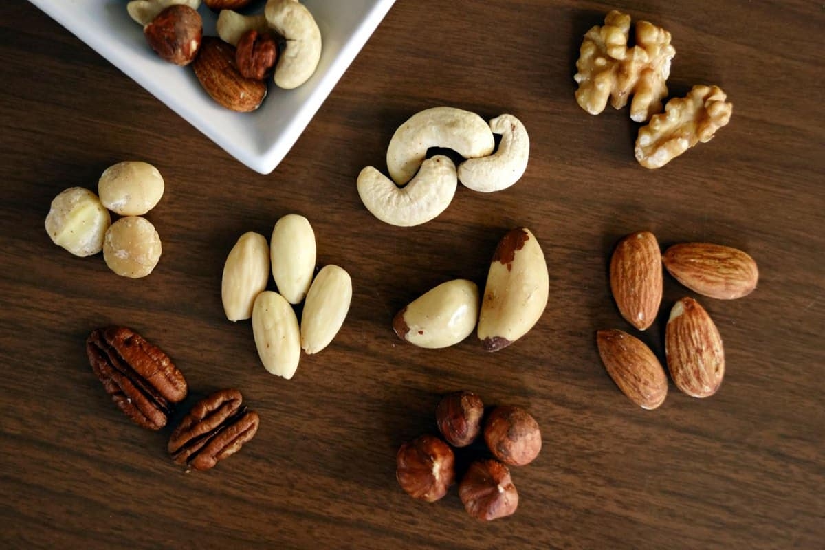 Cashewnüsse für Hunde: Kann mein Hund Cashews essen? – go4vet