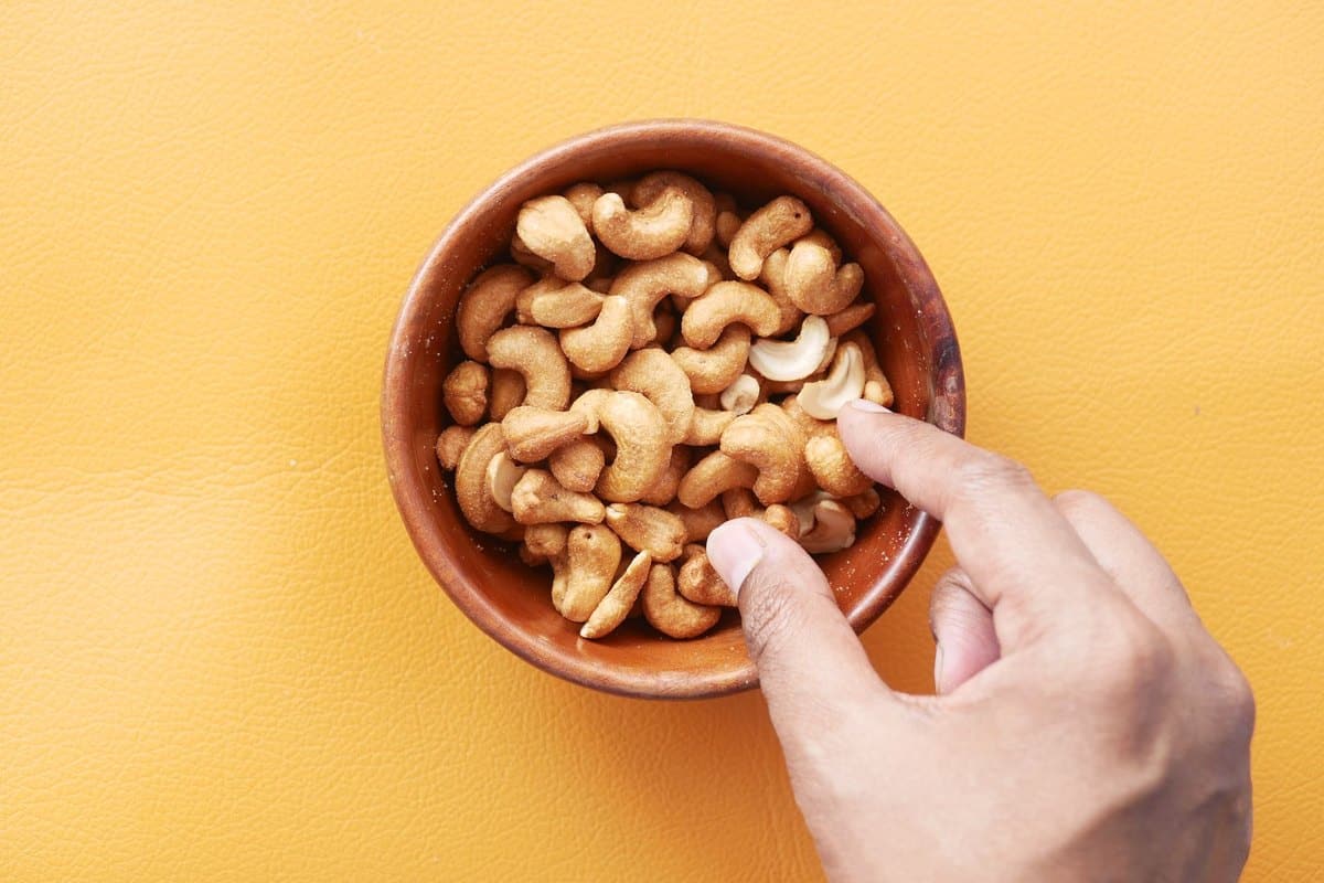 Cashewnüsse für Hunde: Kann mein Hund Cashews essen? – go4vet