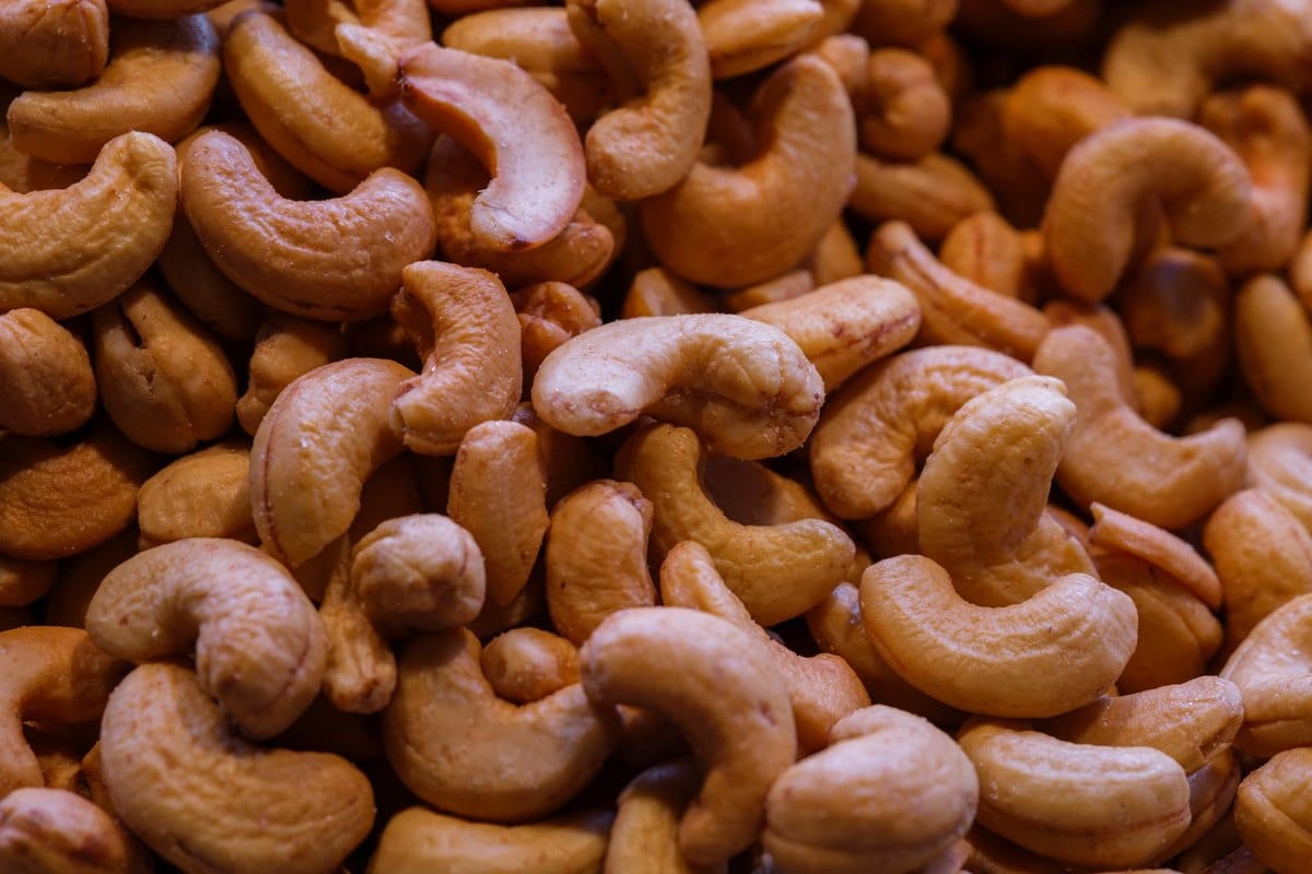 Cashewnüsse für Katzen: Kann mein Katze Cashews essen? – go4vet