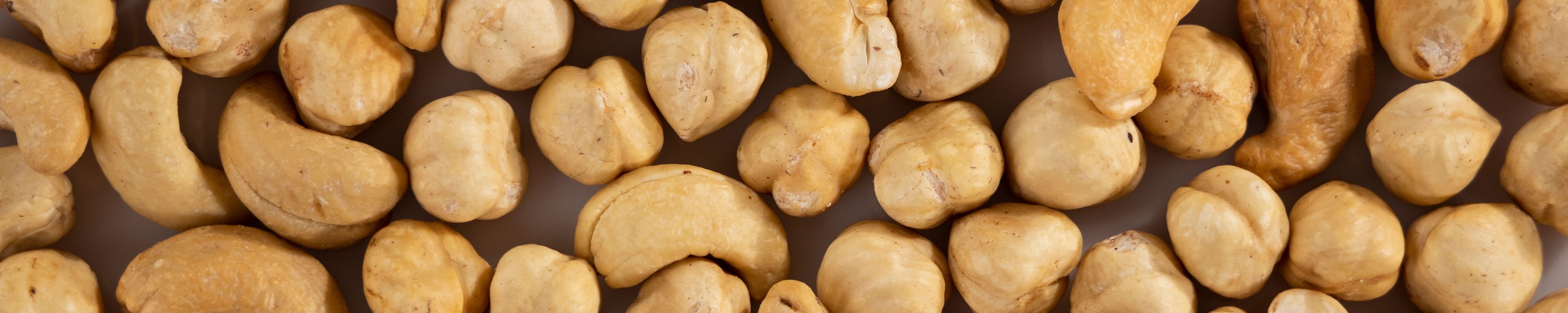 Cashewnüsse für Katzen: Kann mein Katze Cashews essen?