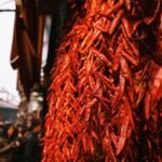 Chili Hund: Können Hunde scharfes Essen vertragen?