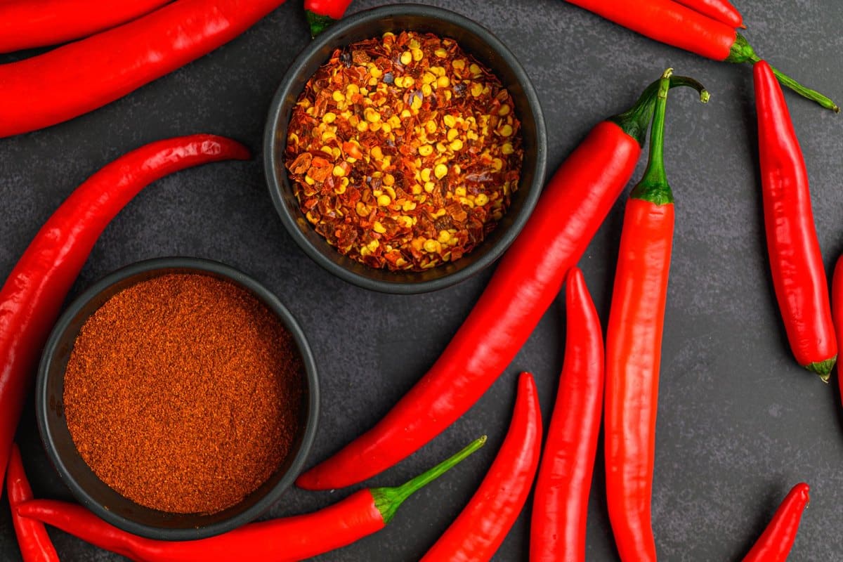 Chili Hund: Können Hunde scharfes Essen vertragen? – go4vet