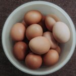 Dürfen Katzen Eier essen? Roh oder gekocht – was ist sicher?