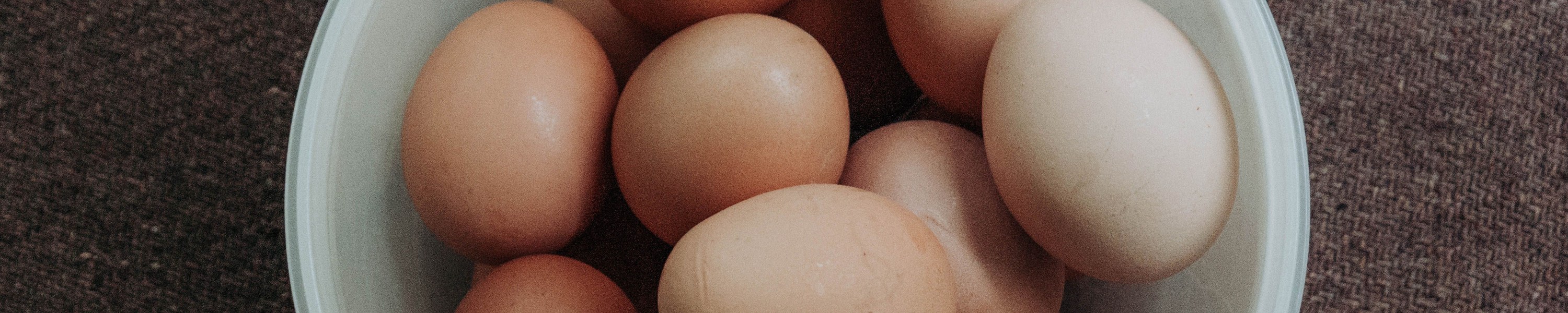 Dürfen Katzen Eier essen? Roh oder gekocht – was ist sicher?