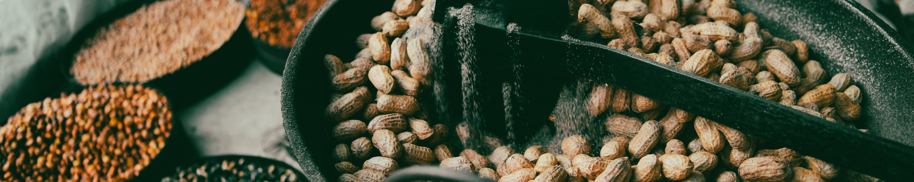 Dürfen Hunde Erdnüsse essen? Vorsicht vor Xylitol in Erdnussbutter!