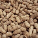 Dürfen Katzen Erdnüsse essen? Vorsicht vor Xylitol in Erdnussbutter!