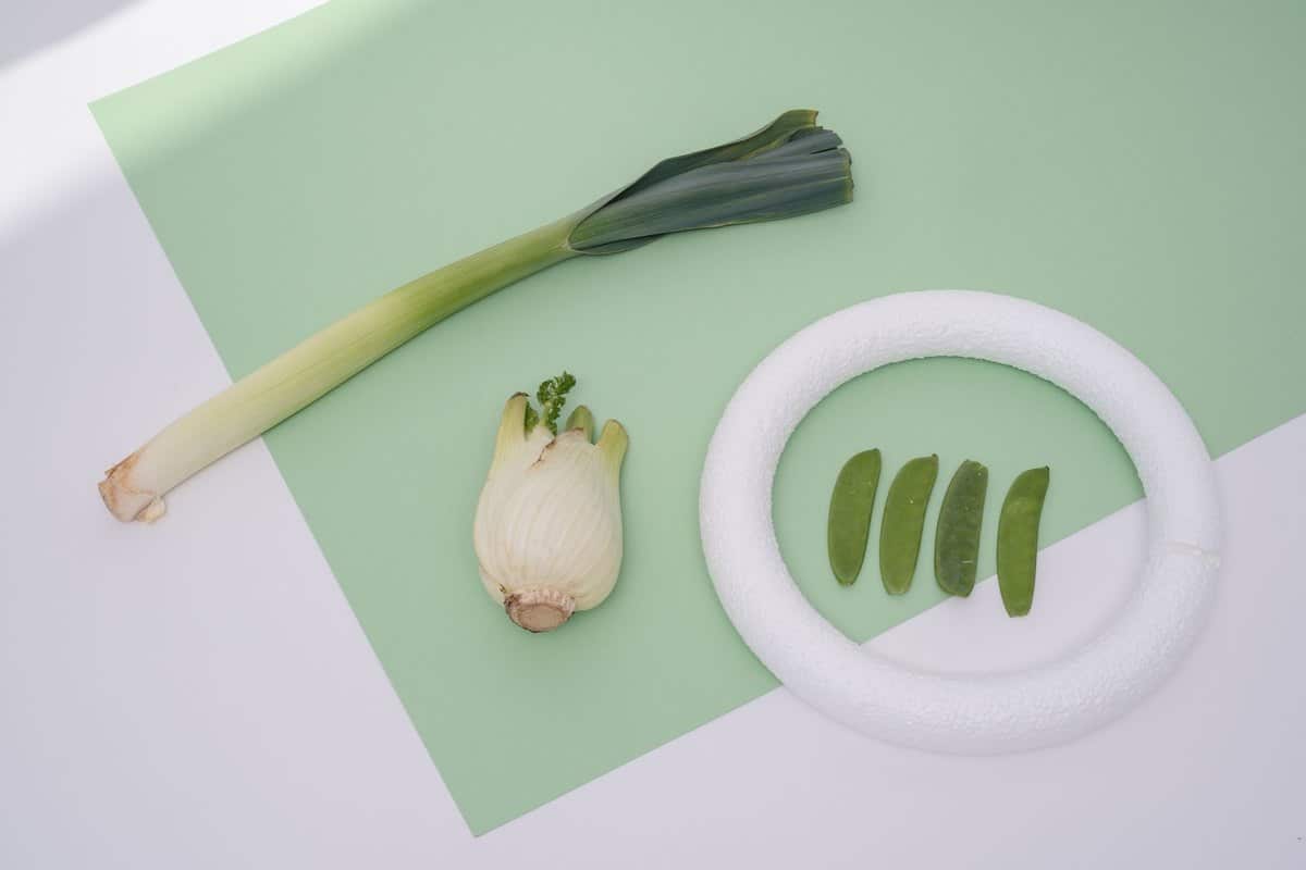Fenchel Hund: Ist Fenchel für Hunde gesund? – go4vet