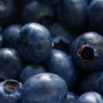 Heidelbeeren für Hunde: Dürfen Hunde Heidelbeeren essen?