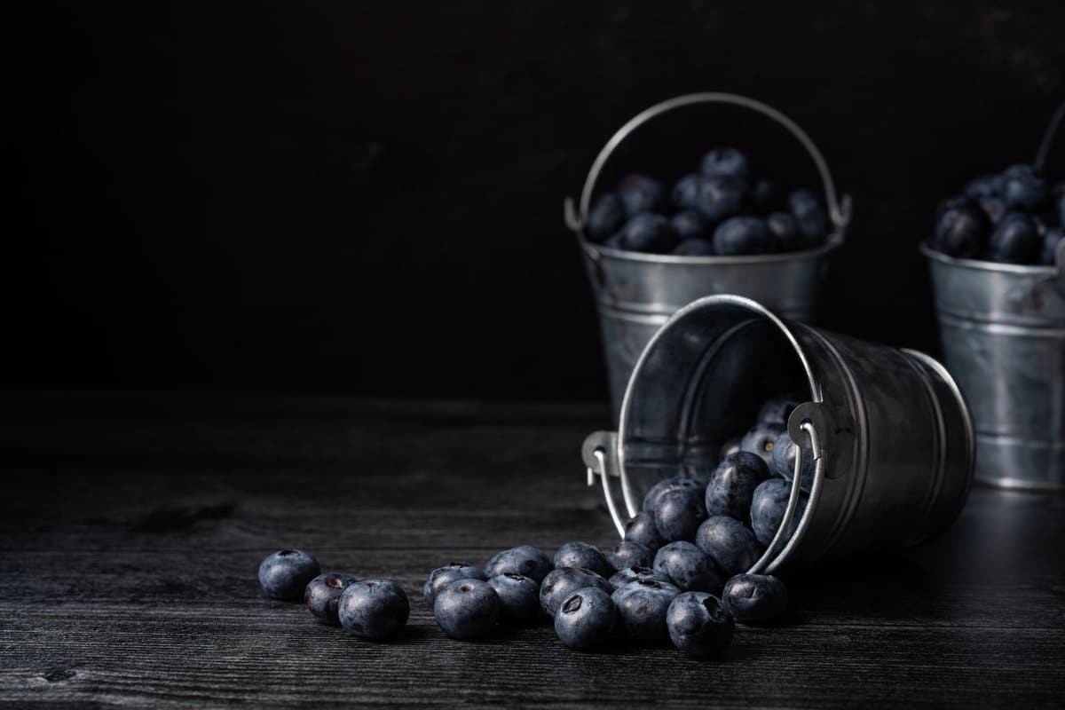 Heidelbeeren für Hunde: Dürfen Hunde Heidelbeeren essen? – go4vet