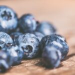 Heidelbeeren für Katzen: Dürfen Katzen Heidelbeeren essen?