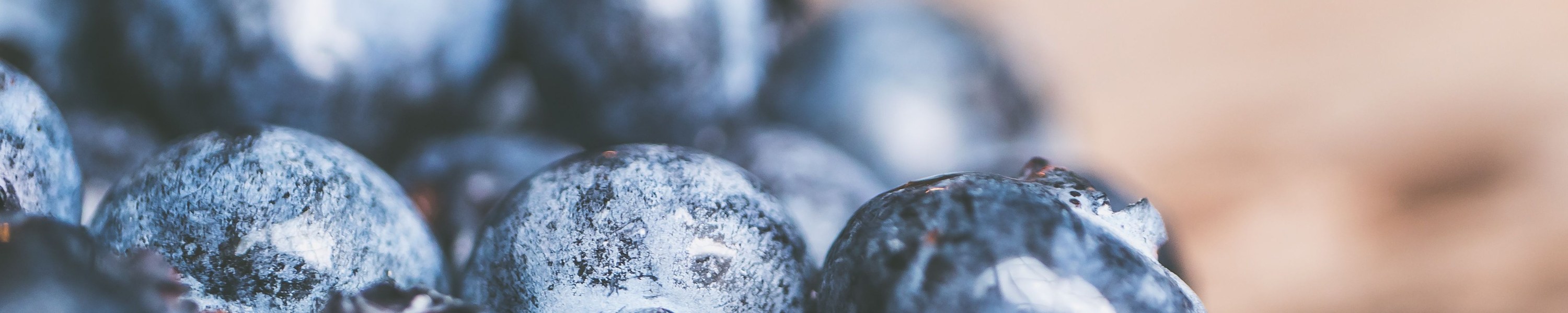 Heidelbeeren für Katzen: Dürfen Katzen Heidelbeeren essen?