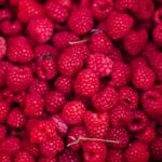 Himbeeren für Hunde: Ungefährlich oder giftig?