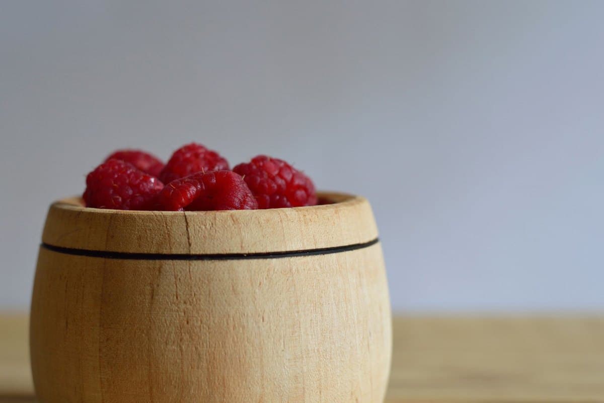 Himbeeren für Hunde: Ungefährlich oder giftig? – go4vet