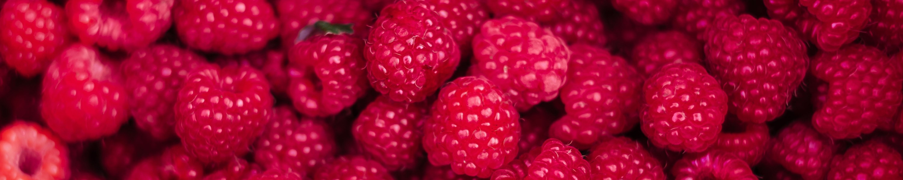 Himbeeren für Hunde: Ungefährlich oder giftig?