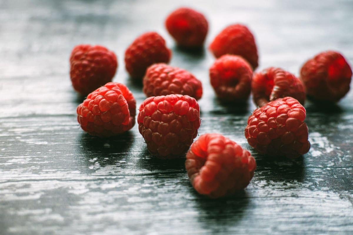Himbeeren für Katzen: Ungefährlich oder giftig? – go4vet