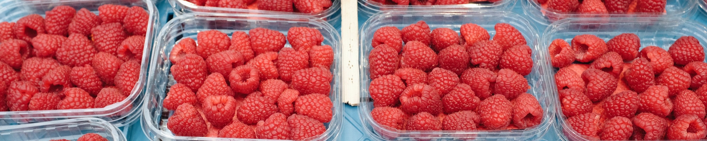 Himbeeren für Katzen: Ungefährlich oder giftig?