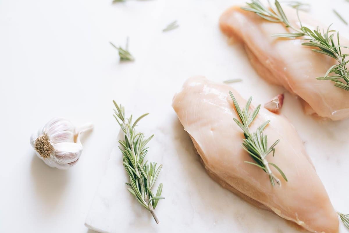 Hühnchen für Hunde: Können Hunde rohes Hühnchen essen? – go4vet